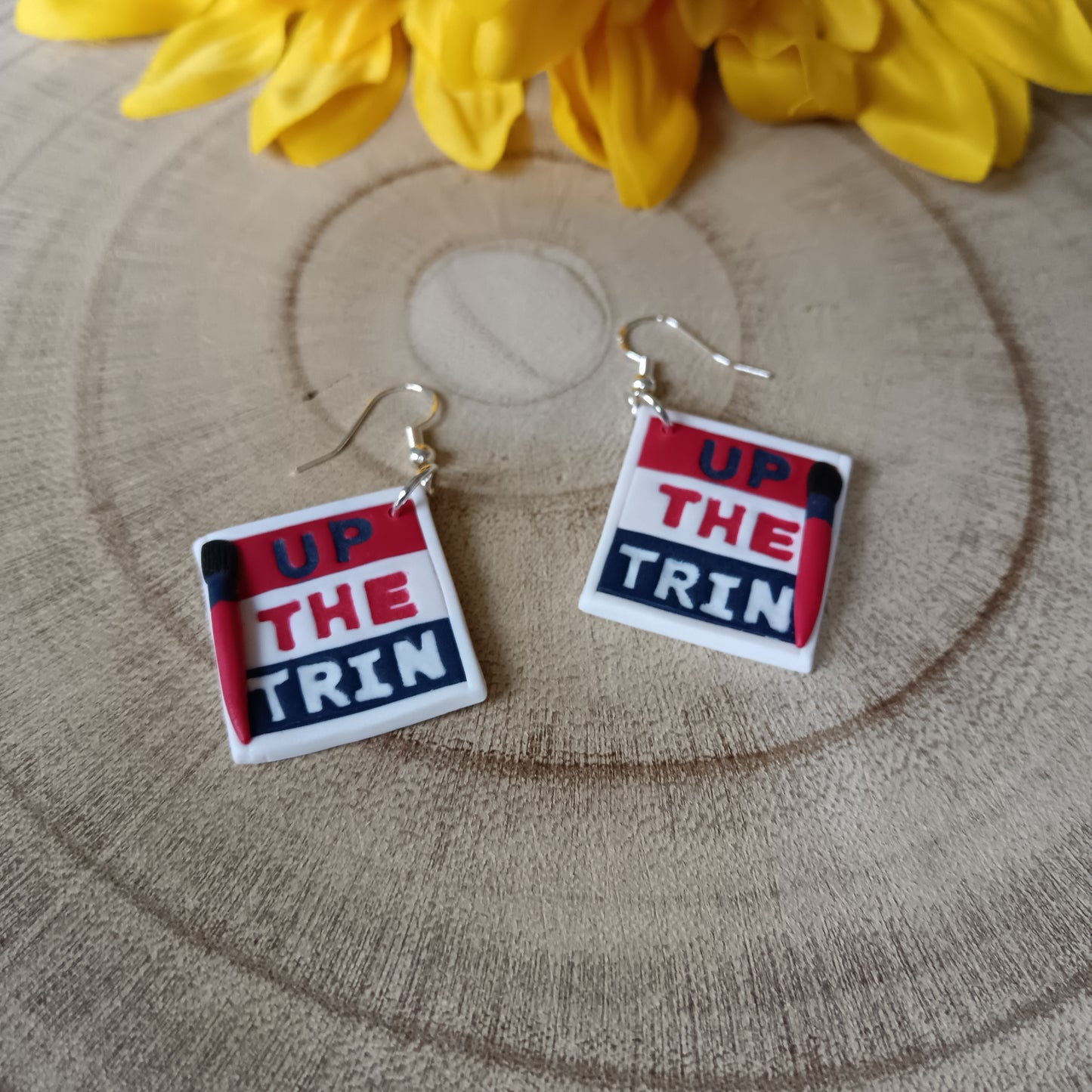 Face Paint Split Cake Palette Hook Earrings (NOT SOLD OUT - PLEASE MESSAGE ME TO ORDER)