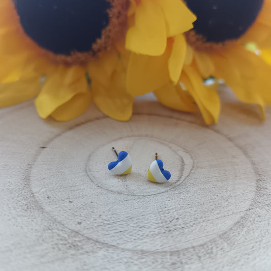Micro Leeds United Heart Stud Earrings