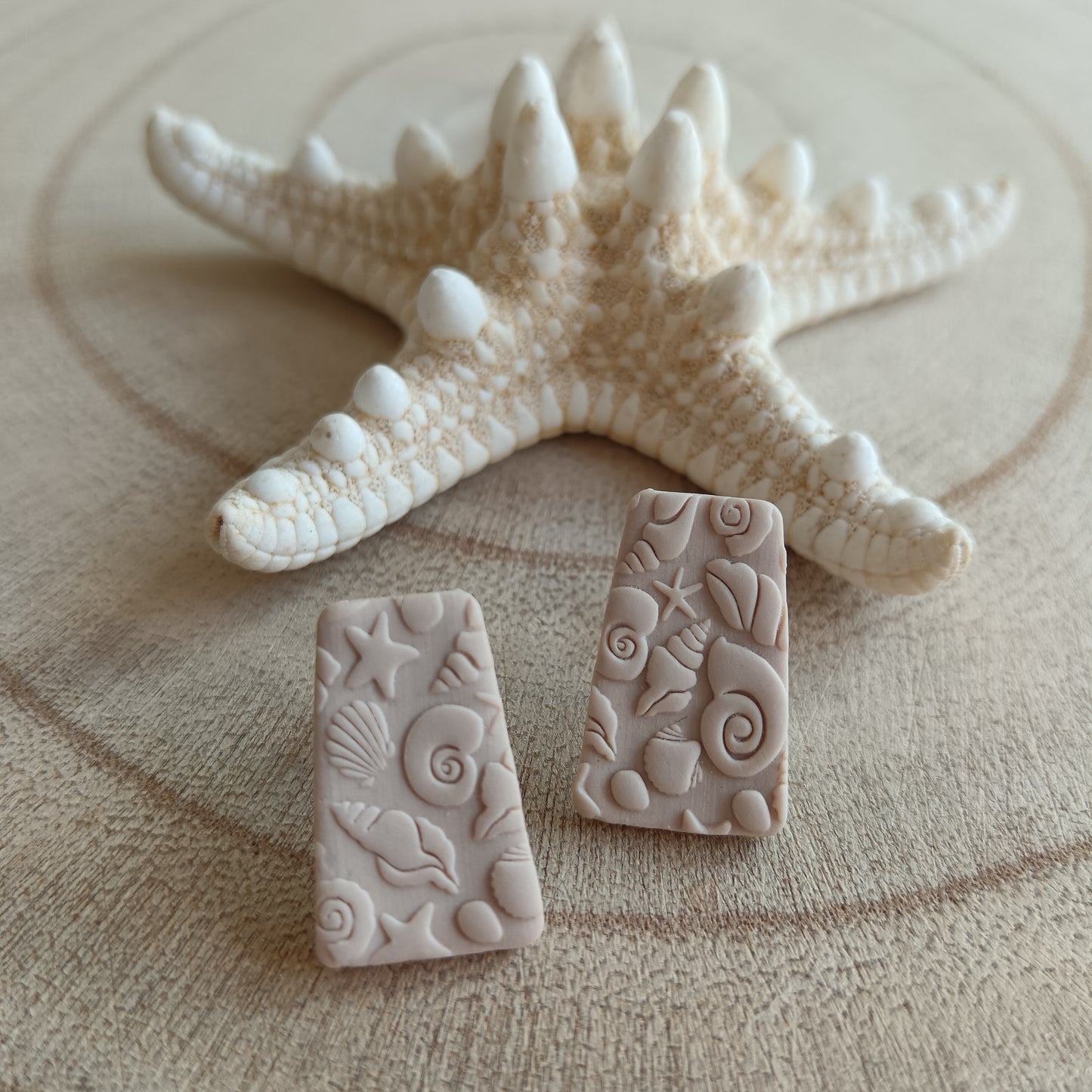 Beach & Shell Inspired Sand Stud Earrings