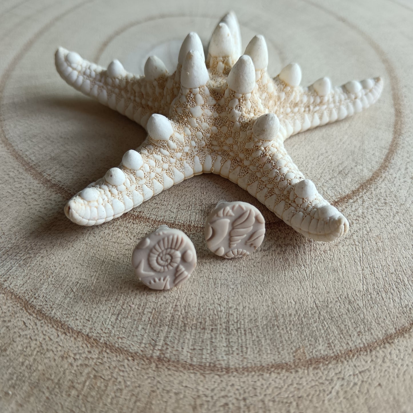 Beach & Shell Inspired Sand Organic Circle Stud Earrings