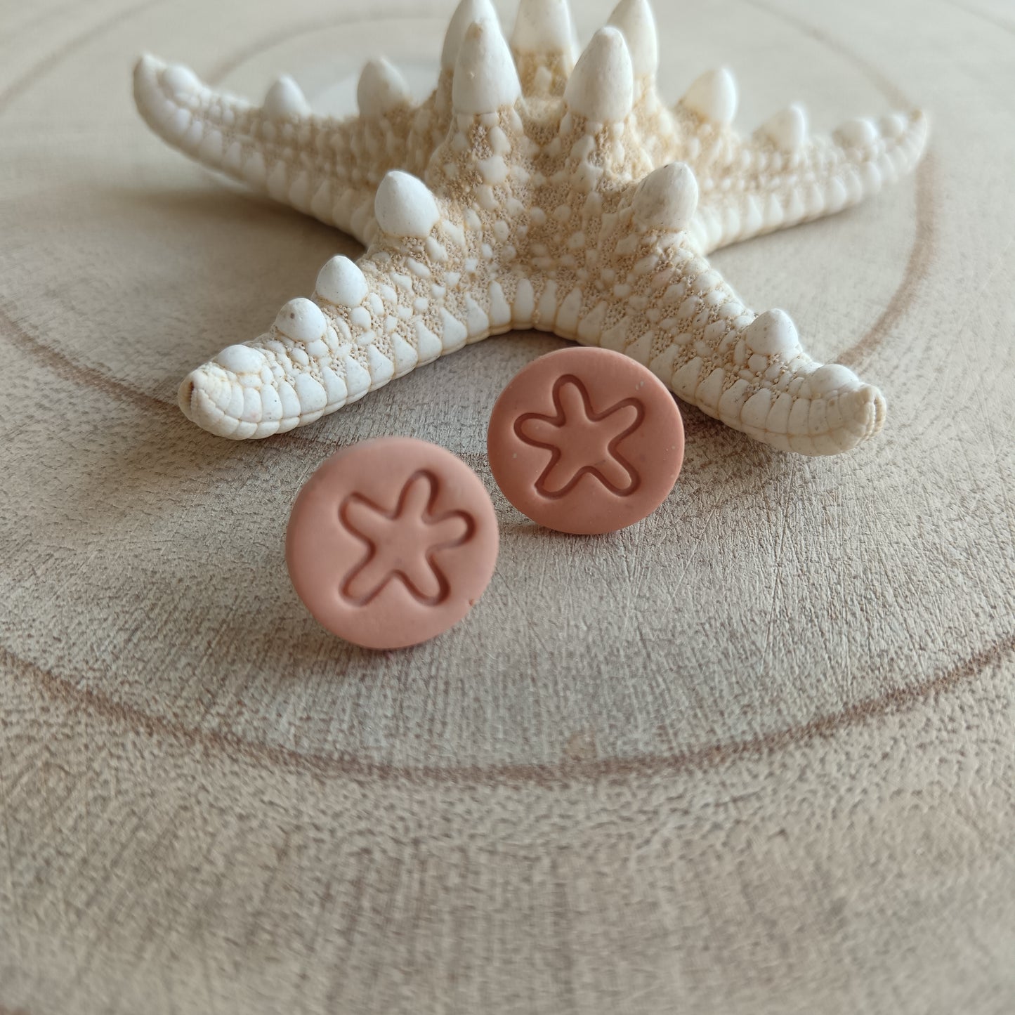 Sand Dollar Peach Orange Stud Earrings