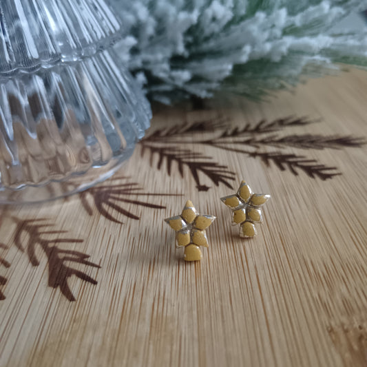 Star Topper Stud Earrings